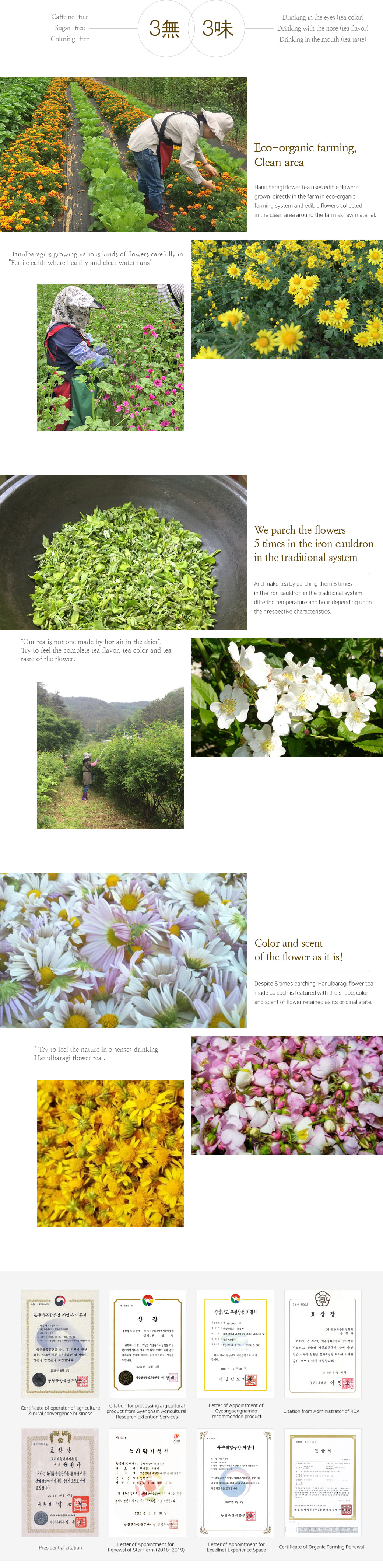 Hanulbaragi Flower Bed Story.